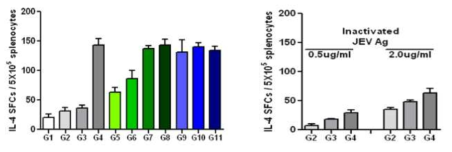 면역화한 마우스의 비장세포 내 항원 특이적 IL-4 분비 세포 수 분석