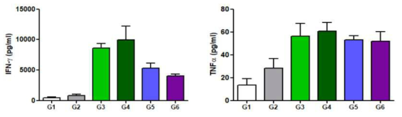 재조합 일본뇌염 백신 항원 특이적 IFN-γ 및 TNF-α 사이토카인 분비 분석