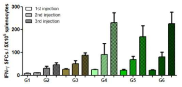 재조합 일본뇌염 백신 항원 특이적 IFN-γ 분비 세포 수 분석