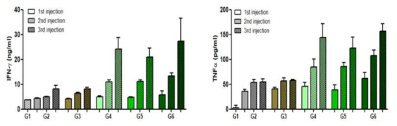 재조합 일본뇌염 백신 항원 특이적 IFN-γ 및 TNF-α 사이토카인 분비 분석