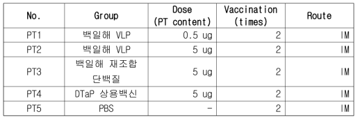 백일해 PT VLP, 재조합 단백질, 상용 DTapP 백신 동물실험 비교표