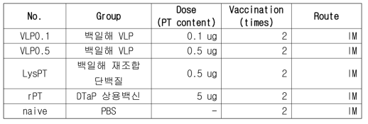 백일해 PT VLP, 재조합 단백질, 상용 DTapP 백신 동물실험 비교표