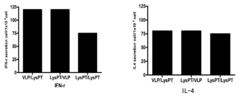 ELISPOT분석을 통한 CD4+, CD8+ T cell 반응 분석
