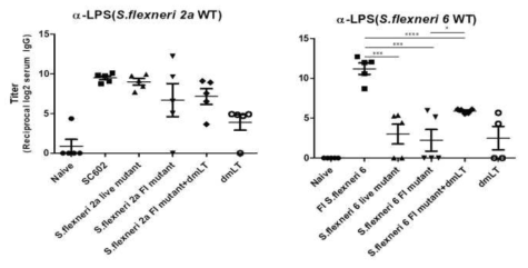 Shigella mutant strain을 활용한 백신에 대한 LPS 특이 항체 역가 비교