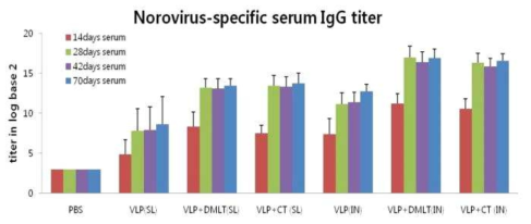 노로바이러스 VLP 특이적인 항체역가 분석