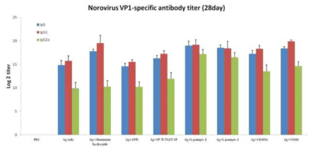 노로바이러스 VP1 particle 항원 특이적인 항체역가 및 항체 isotype 분석