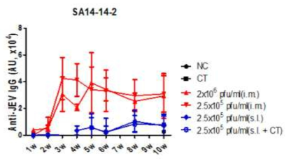 SA 14-14-2면역에 의한 항체생성비교