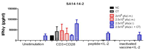 SA 14-14-2면역 후 splenic T cell 반응성 분석