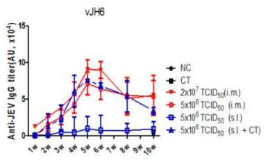 재조합 MVA vJH6 면역에 의한 항체생산비교