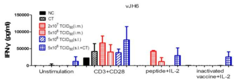 재조합 MVA vJH6 면역 후 splenic T cell 반응성 분석