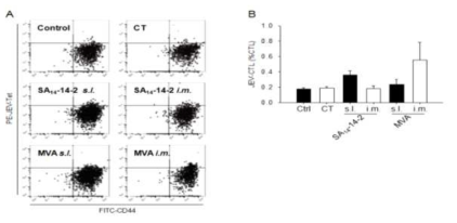 12주차 JEV-specific CD8(+) T cells