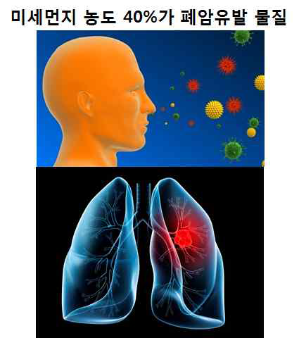 초미세먼지의 대부분이 발암물질이고 대부분 폐에 축적됨