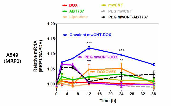 나노항암제 처리 후 시간에 따른 Mrp-1 mRNA 변화 분석