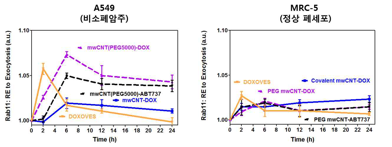 폐암 및 정상세포에서 다양한 나노항암제들에 의한 시간대별 Rab11 발현 분석