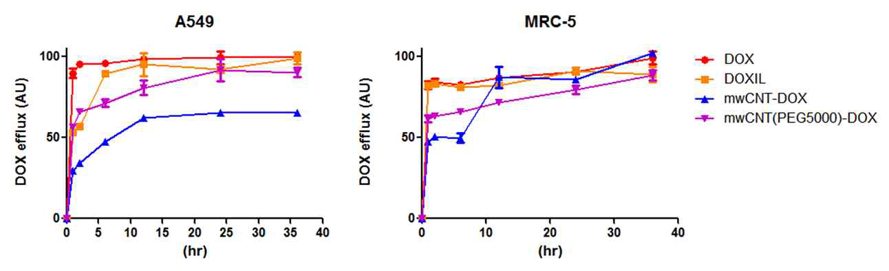 다양한 나노항암제의 폐암세포 특이적 extracellular secretion 패턴