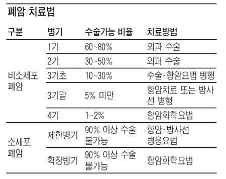 폐암 종류 및 병기에 따른 치료방법