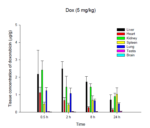 일반 항암제제(doxorubicin)의 인체 장기 분포도(약물 투여후 30분경과). 특정 장기에 선택적인 전달이 아니라 전 장기에 전반적으로 퍼지는 것을 알 수 있음(선행 연구결과에서 발췌)