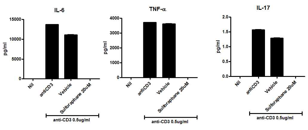 Nrf-2 Agonist 처리에 의한 염증성 사이토카인 및 주요 병인 사이토카인 억제 효과