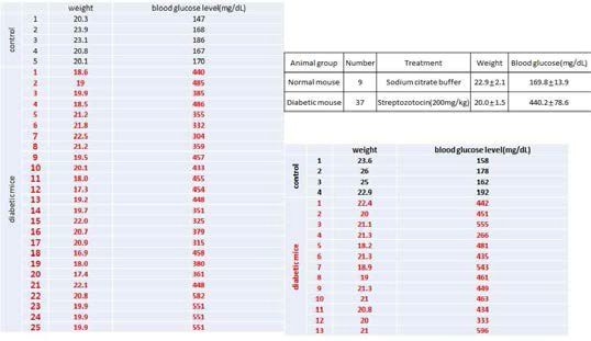 당뇨동물모델 구축검증을 위한 혈당 모니터링 결과