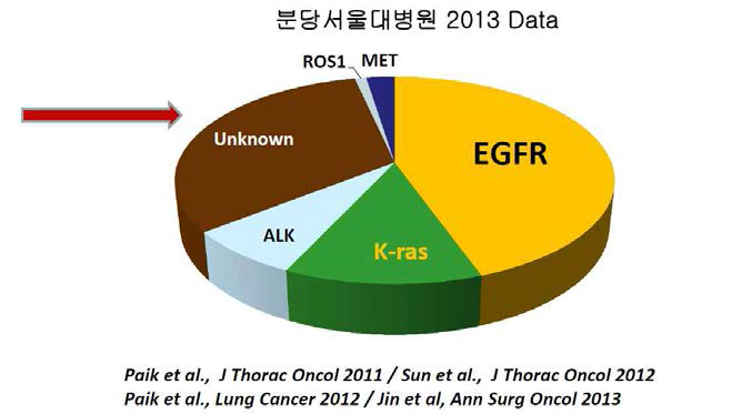 한국에서의 폐선암종 유전자 변이에 따른 분류