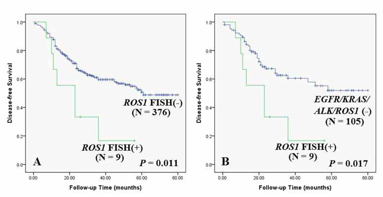 폐선암종 환자군에서 ROS1 발암유전자 변이와 Driver oncogene 변이에 따른 생존율