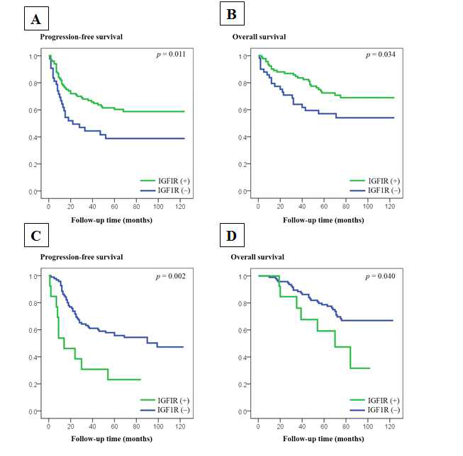 편평세포암종 (A와 B)과 EGFR 돌연변이를 가진 폐선암종 (C와 D)에서의 IGF1R 발현과 생존율