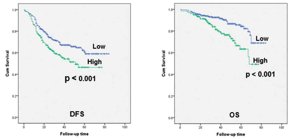 폐선암종에서의 NKCC1의 발현에 따른 생존율 분석