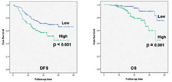 EGFR 변이가 있는 폐선암종에서의 NKCC1의 발현에 따른 생존율 분석