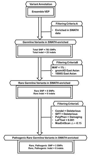 Rare variants 찾는 process