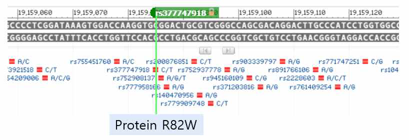 빈도-pathogenicity에서 의미 있게 통과된 rare variants의 유전자 위치 및 최종 단백의 변화(파랑, R (Arg) ⇒W (Trp))