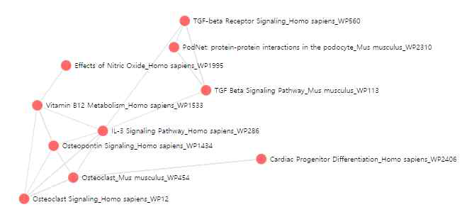 Wiki Biological process 분석