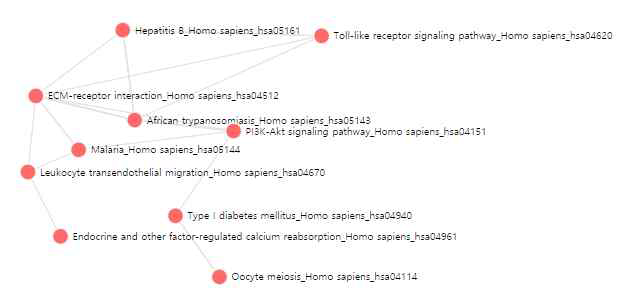 KEGG pathway 분석