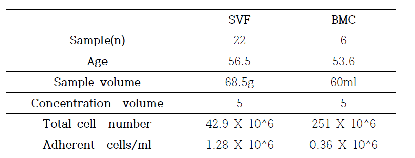 SVF와 BMC의 세포 수 분석