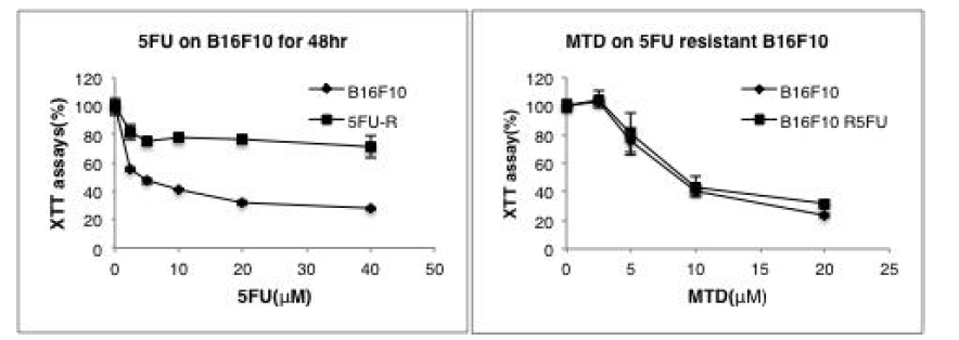 B16F10 parental 세포와 B16F10 5’FU-Resistant 세포에 5’FU (왼쪽 패널), MTD 펩타이드 (오른쪽 패널)를 처리하여 세포의 생존율을 조사하였다