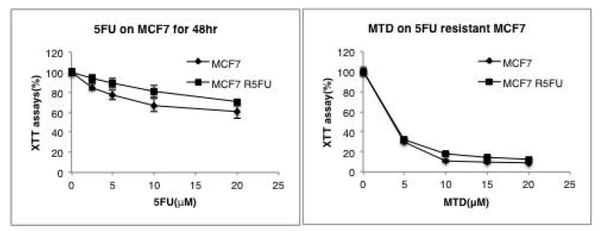 MCF7 parental 세포와 MCF7 5‘FU–Resistant 세포에 5’FU (왼쪽 패널), MTD 펩타이드 (오른쪽 패널)를 처리하여 세포의 생존율을 조사하였다