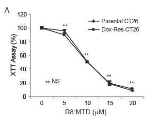 Parental and Dox-Res CT26 cells were treated with R8:MTD peptide for 1 hour and cell viability was measured using an XTT assay; **NS, non-significant