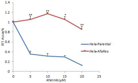 Dose depentent cell viability curve for HeLa parental and Afa-Res HeLa cell lines. Cells were cultured in 96-well plate, on the second day, cells were treated with afatinib or DMSO for 24 h. XTT assay were perfomed to measure the cell viability