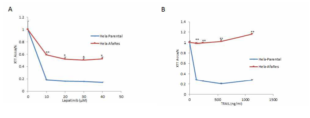 Parental and the Afa-Res HeLa cells were treated with (A) Lapatinib and (B) TRAIL for 24 hours. Cell viability was determined using an XTT assay. All data are presented as the mean ±SD (n=3). **p<0.01, *** P<0.001 compared to no treatment
