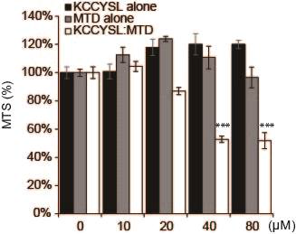 A431 cells(2x10^4 cells/well) were treated with KCCYSL alone, MTD alone, and KCCYSL: MTD (0~80uM) for 2hours, and cell viability was measured by MTS assay. All data are presented as the mean ± SD (n=3). **p<0.01, *** P<0.001 compared to no treatment