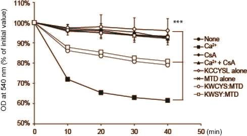 Isolated mitochondria from mouse livers were treated with the indicated peptides (20μM), calcium ions (200 μM), or CsA (20 μM), and optical densities at 540 nm were monitored every 10 minutes