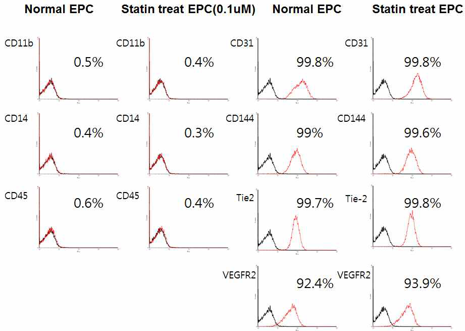 Atorvastatin에 의한 혈관줄기세포의 표면 특이 단백질 발현 변화 검증