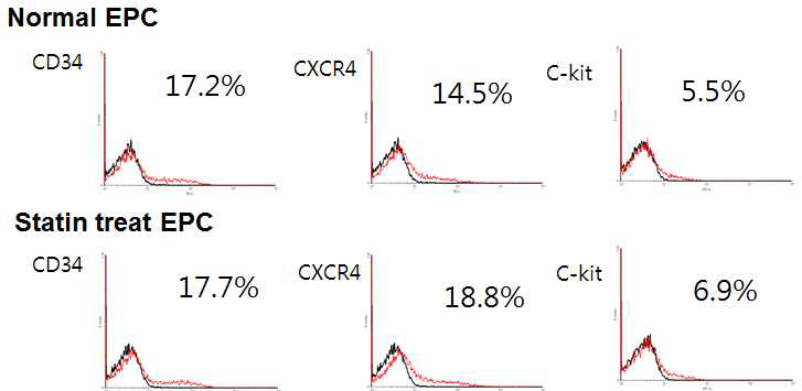 Atorvastatin 처리에 따른 혈관줄기세포의 기능성 표지자 발현변화 검증