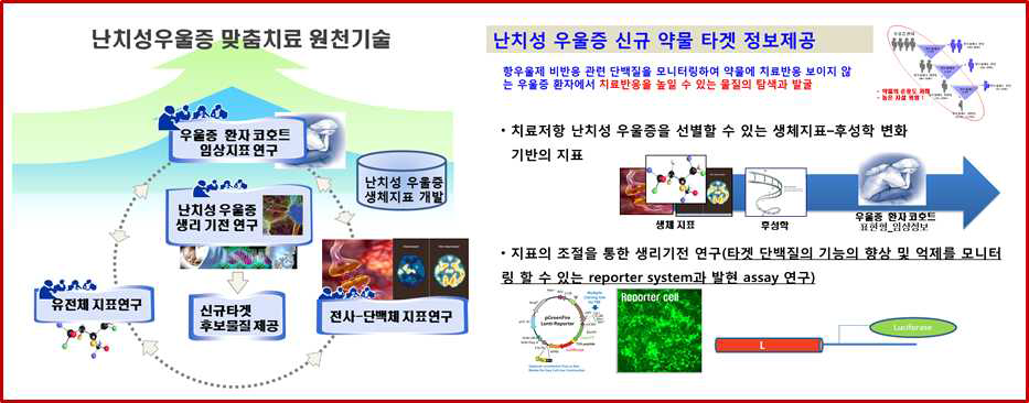 본 연구개발의 개요