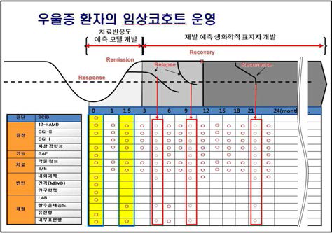 우울증 코호트의 CRF(clinical research form)