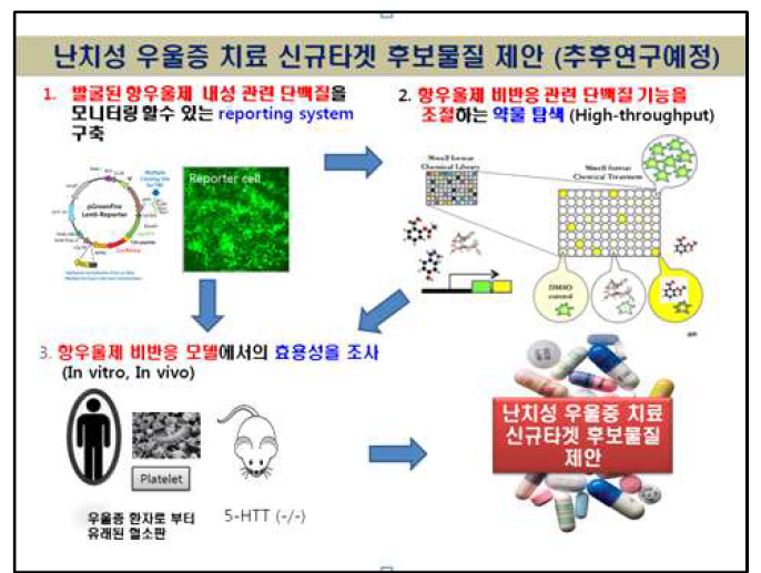 난치성 우울증 치료 신규타겟 후보물질 제안 (추후 단계 연구예정)