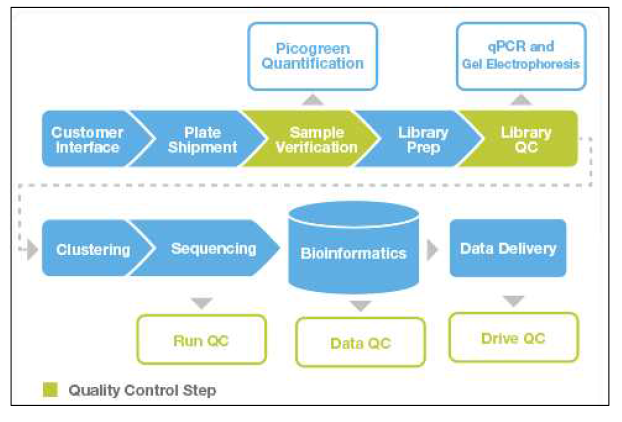 NGS 분석절차. Quality Control Check 를 통해 DNA를 정성, 정량화 한 후, DNA Fragmentation 를 거쳐 DNA Library 를 제작함. Library QC를 통해 정제된 DNA 단편들은 Clustering 을 거쳐 Sequencing 을 하고 난 후, 생성된 염기서열 정보는 Bioinformatics 팀에게 전달됨. DATA QC를 통과한 자료들은 각 연합연구 분석에 들어감