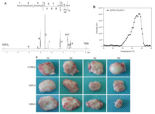 (A) MPEG-b-(PCL-ran-PLLA) diblock co-polymer, MPEG를 개시제로 하여 말단에 Polyester인 CL과 LA가 ring opening polymerization으로 중합이 되어있음. MPEG와 Polyester간에 즉, 친수성과 소수성간에 diblock copolymer이고 중합된 Polyester 부분에서 CL과 LA를 거의 동시에 넣어 주었기 때문에 Polyester인 소수성 부분은 Random으로 형성되는 diblock copolymer를 제작 (B) 31도에서 gelation 이 시작되도록 viscosity를 조절함. (C) PCL:PLLA를 97:3 으로 조절할 경우 생체내에서 약 12주에 거쳐 degradation이 일어남