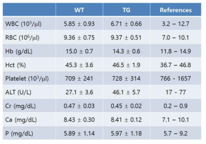 Fat-1 TG와 WT 마우스의 혈액학적 검사