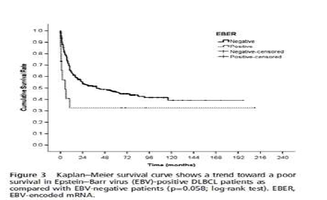 DLBCL 에서 EBV 발현에 따른 생존율