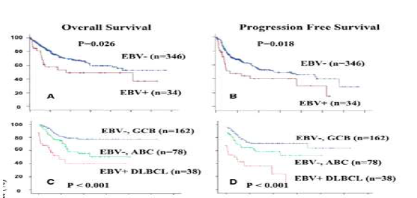 EBV(-)/(+), ABC, GCG 에 따른 생존율